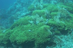 20000908_Mangrove_Bay_0010